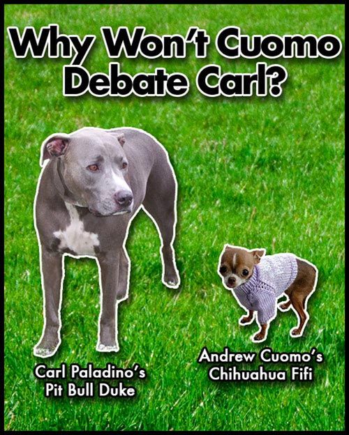 Then Paladino used his dog Duke in a poster